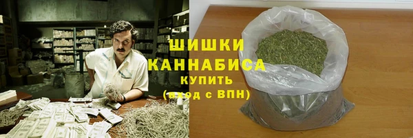 сатива Кодинск