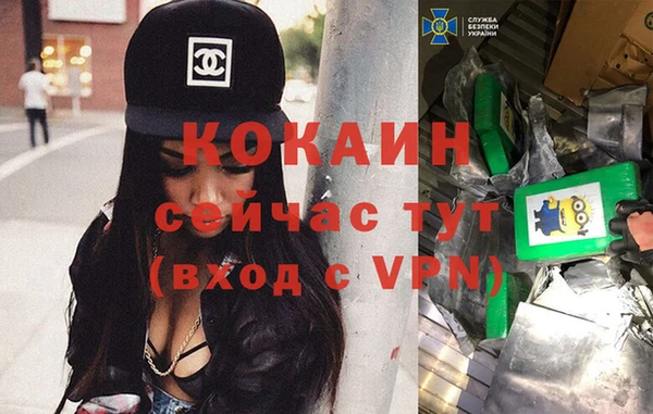 сатива Кодинск
