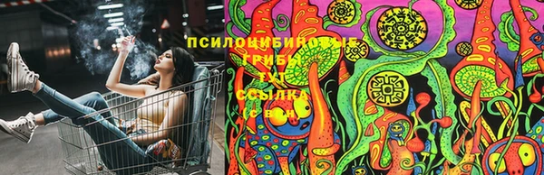соль курить ск Козловка