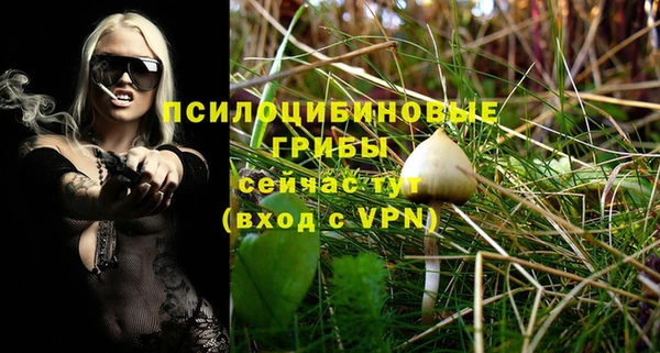 соль курить ск Козловка