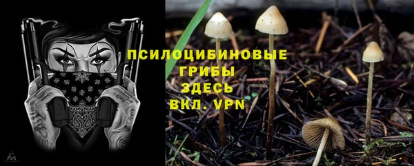 соль курить ск Козловка