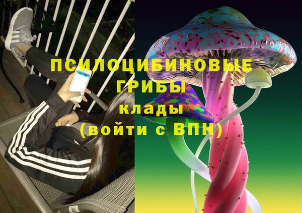 сатива Кодинск